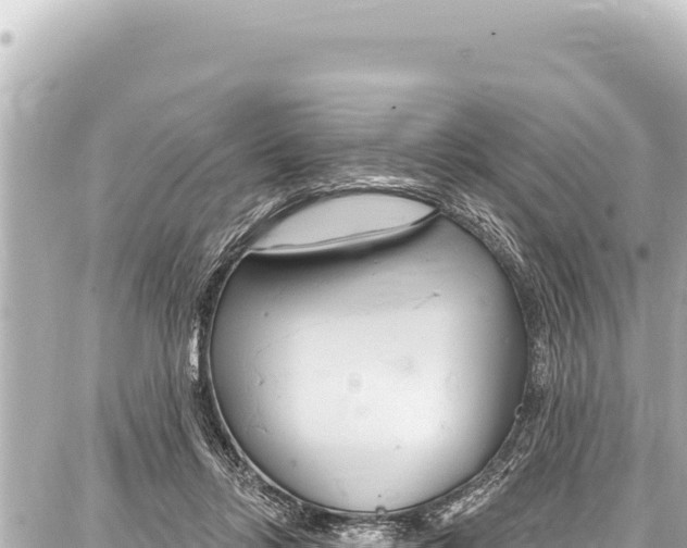 X0000086880358200705141416