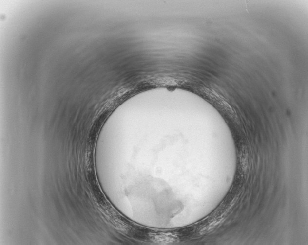 X0000086880359200705141416