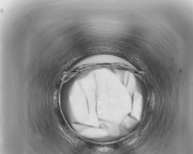 X0000086880360200705141416