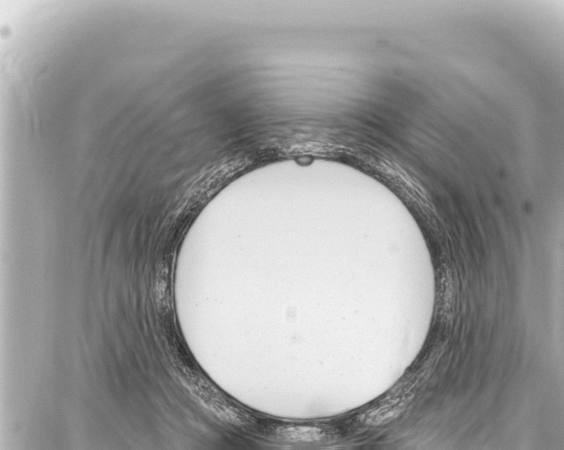 X0000086880361200705141416