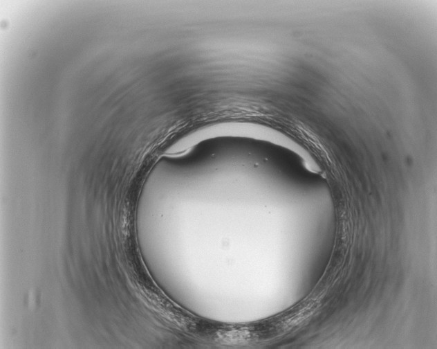 X0000086880362200705141416