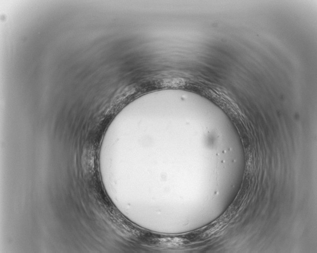 X0000086880363200705141416