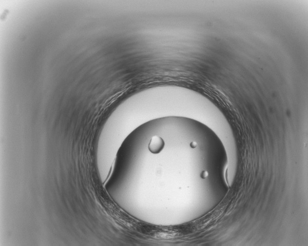 X0000086880364200705141416