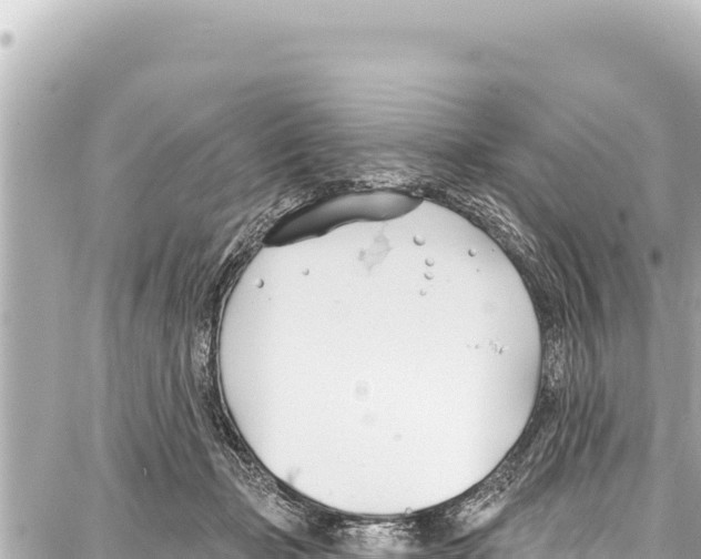 X0000086880365200705141416