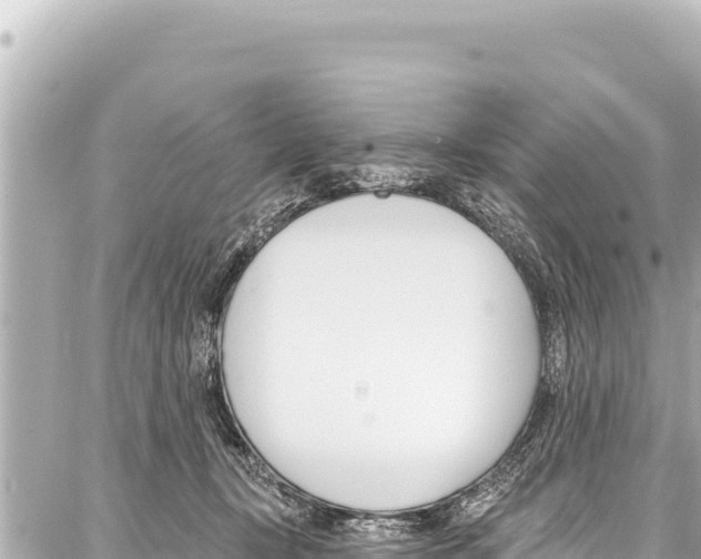 X0000086880367200705141416