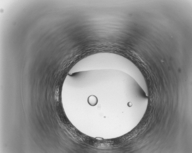 X0000086880368200705141416