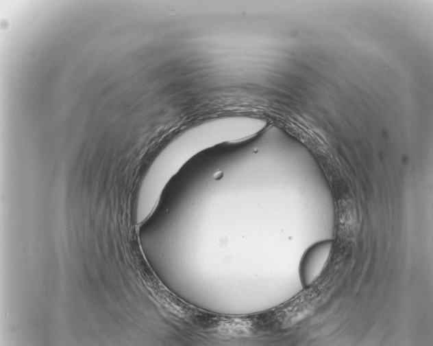 X0000086880369200705141416