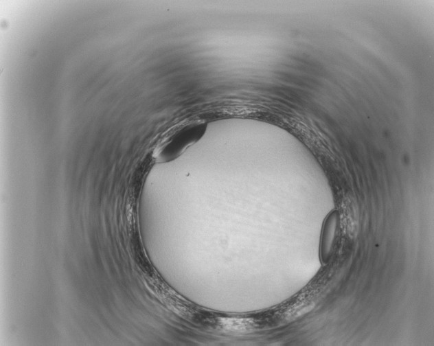 X0000086880371200705141416