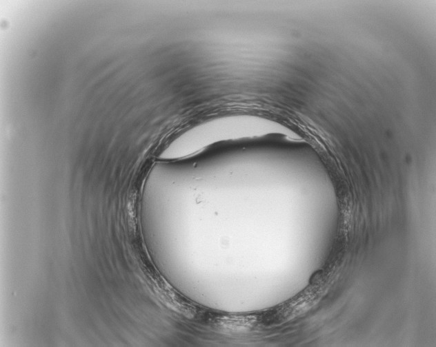 X0000086880373200705141416