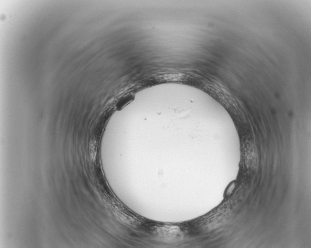 X0000086880374200705141416