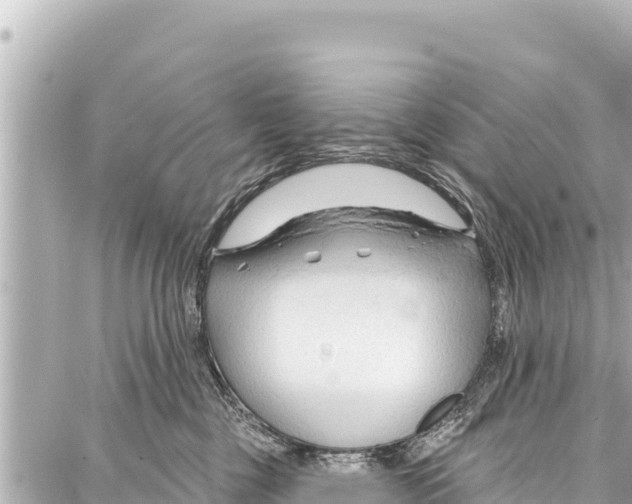 X0000086880377200705141416