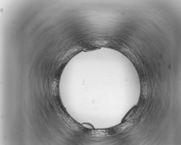 X0000086880378200705141416