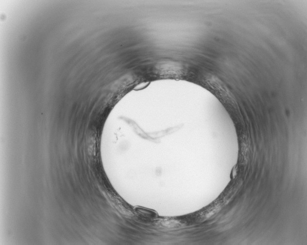 X0000086880379200705141416