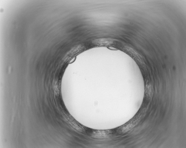 X0000086880381200705141416