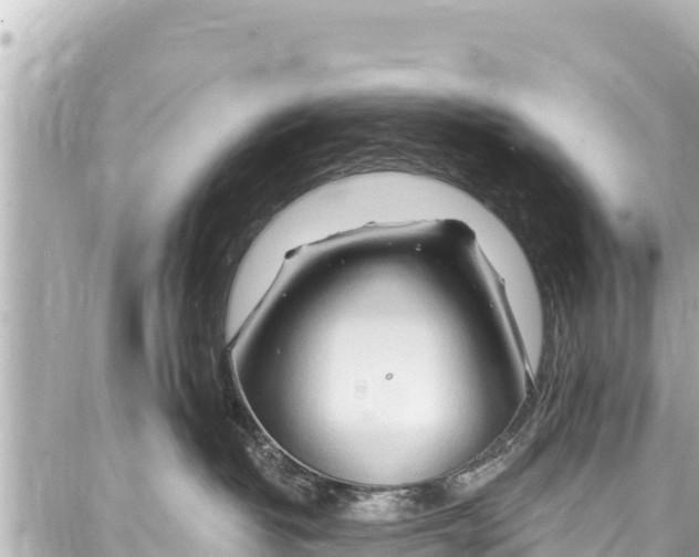 X0000086880382200705141416