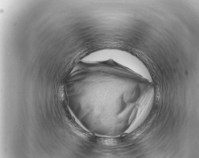 X0000086880383200705141416