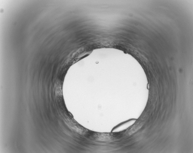 X0000086880384200705141416