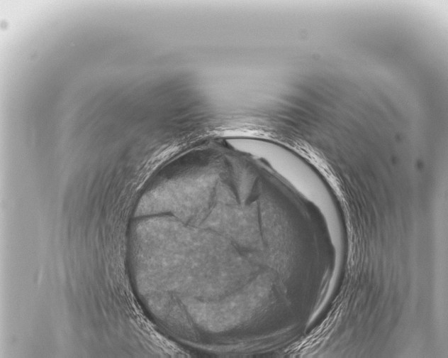 X0000086880385200705141416