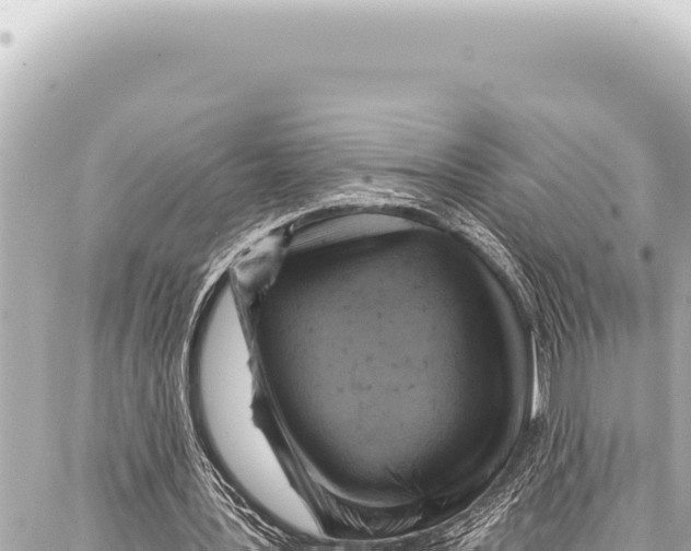 X0000086880387200705141416