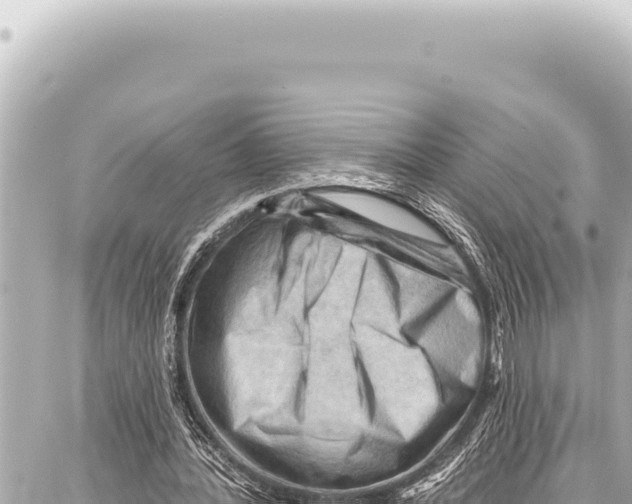 X0000086880388200705141416