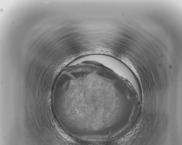 X0000086880389200705141416