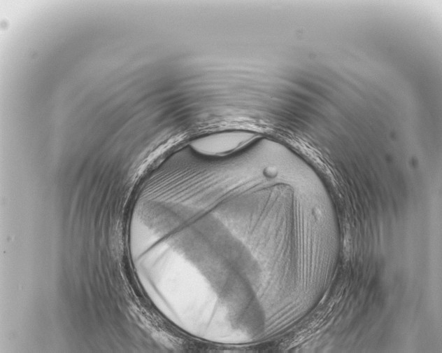 X0000086880390200705141415