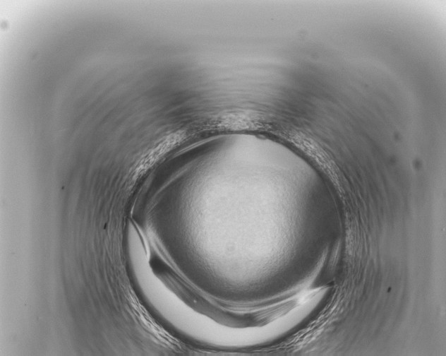 X0000086880393200705141415