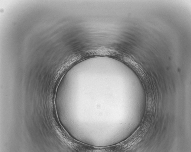 X0000086880394200705141415