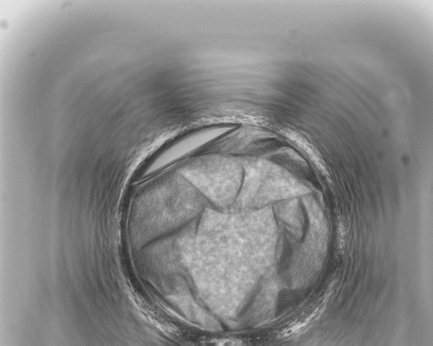 X0000086880395200705141415