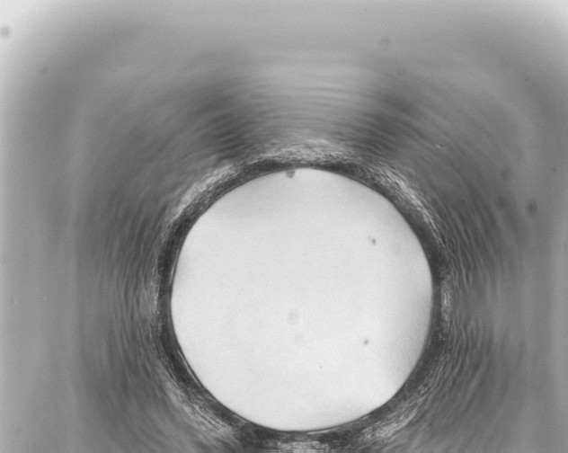 X0000086880396200705141415