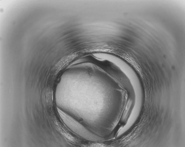 X0000086880397200705141415