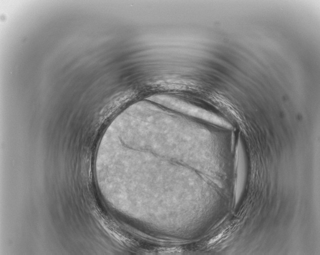 X0000086880398200705141415