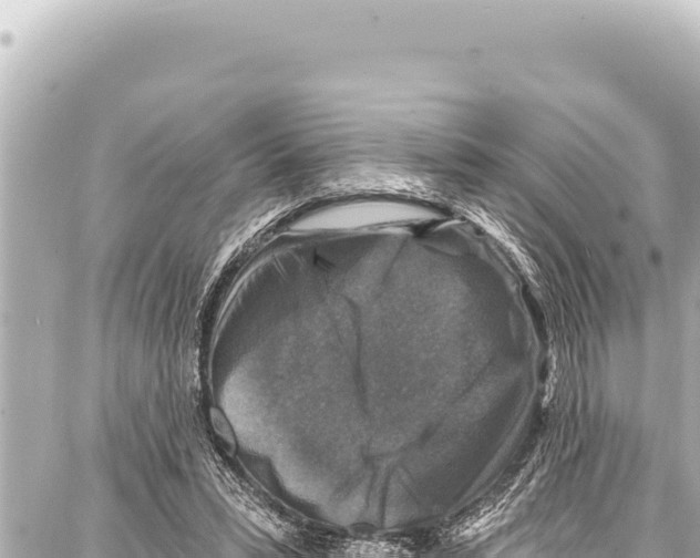 X0000086880399200705141415