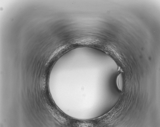 X0000086880400200705141415