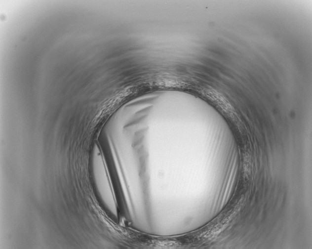 X0000086880401200705141415