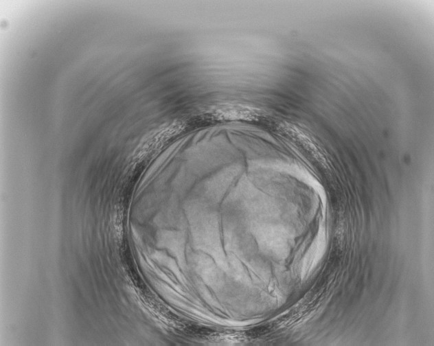 X0000086880402200705141415