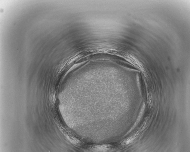 X0000086880405200705141415