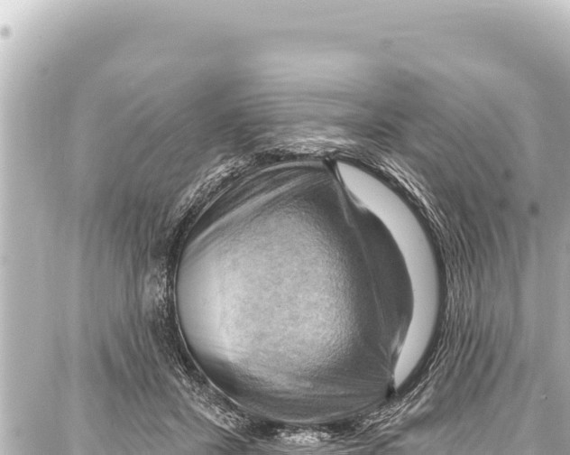 X0000086880407200705141415