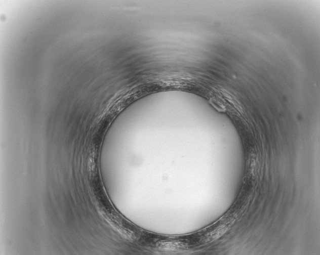 X0000086880408200705141415