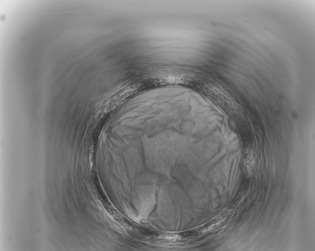 X0000086880410200705141415