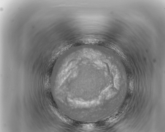 X0000086880411200705141415