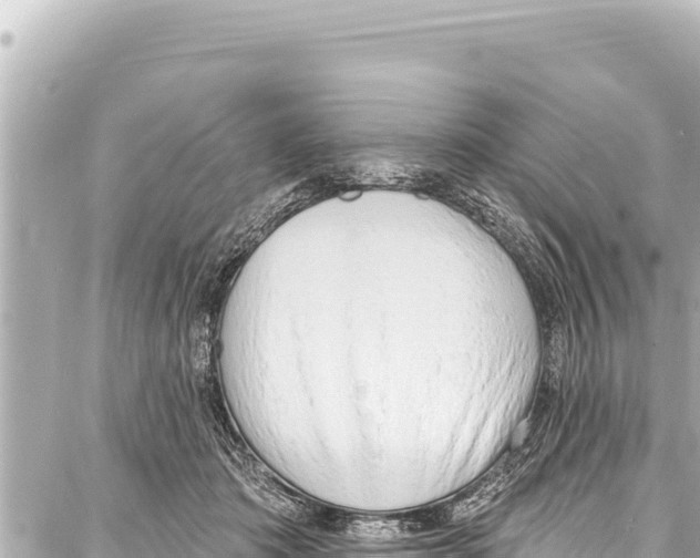 X0000086880413200705141415