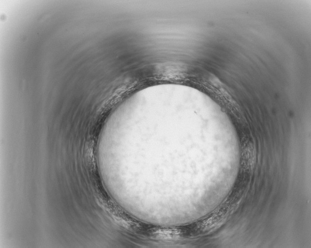 X0000086880415200705141415