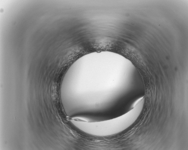 X0000086880416200705141415