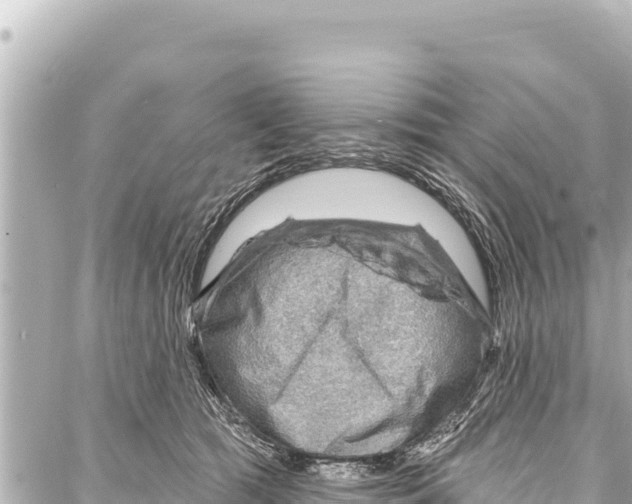 X0000086880417200705141415