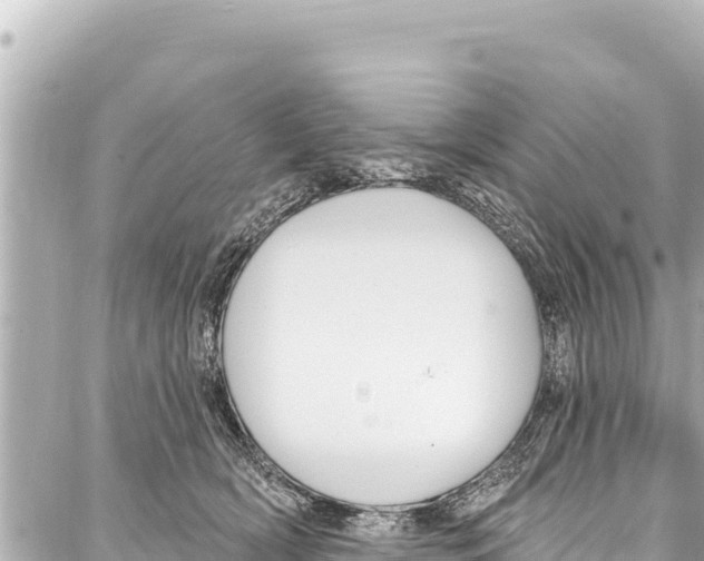 X0000086880418200705141415