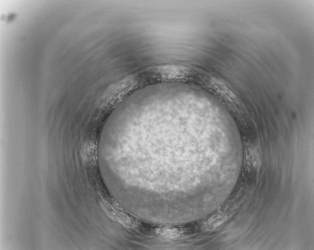 X0000086880419200705141415