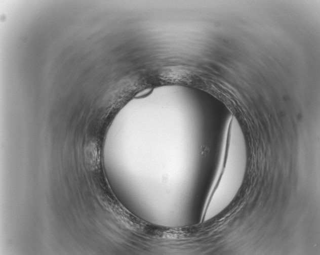 X0000086880420200705141415