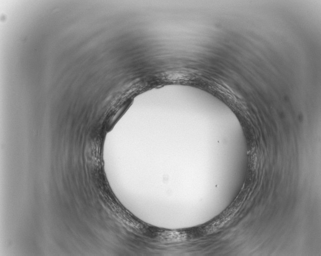 X0000086880421200705141415