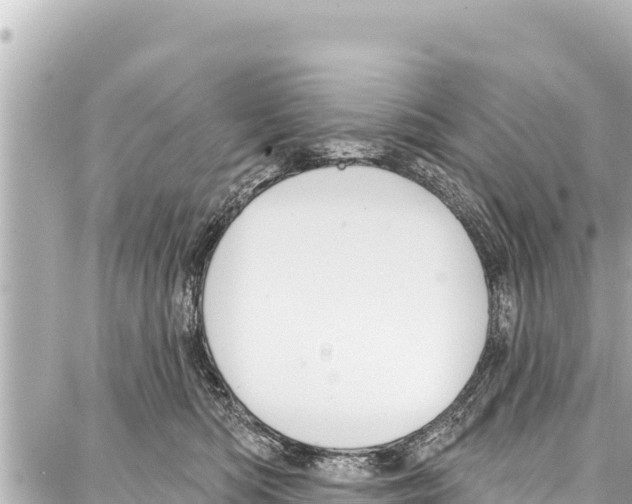 X0000086880422200705141415